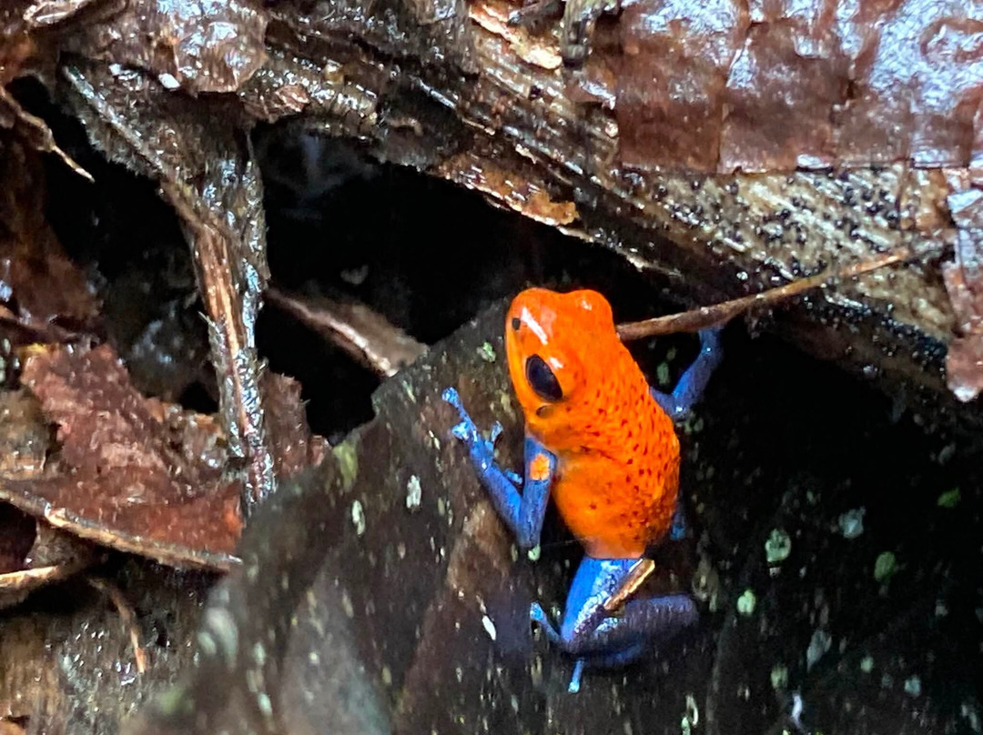 My Costa Rica-圣何塞必去景点