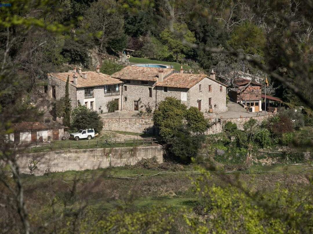 El Buxaus de la Muntanya