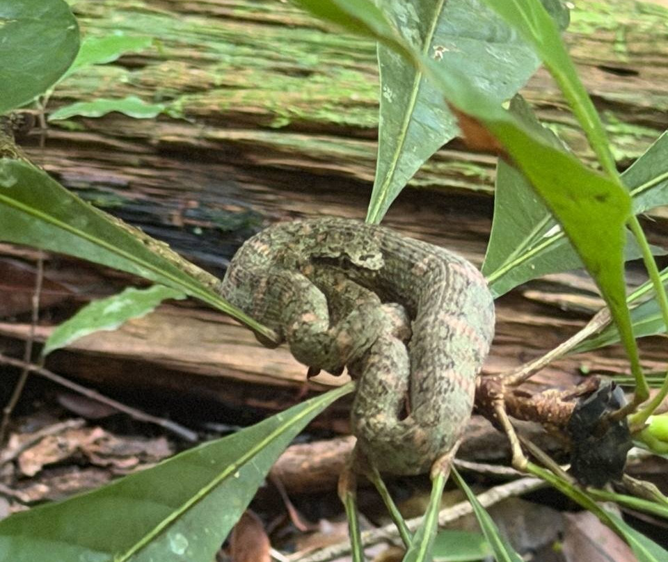 Carara National Park-卡拉拉必去景点