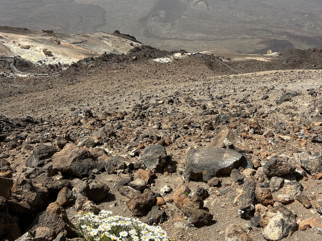 Volcano Teide Experience-泰德国家公园必去景点