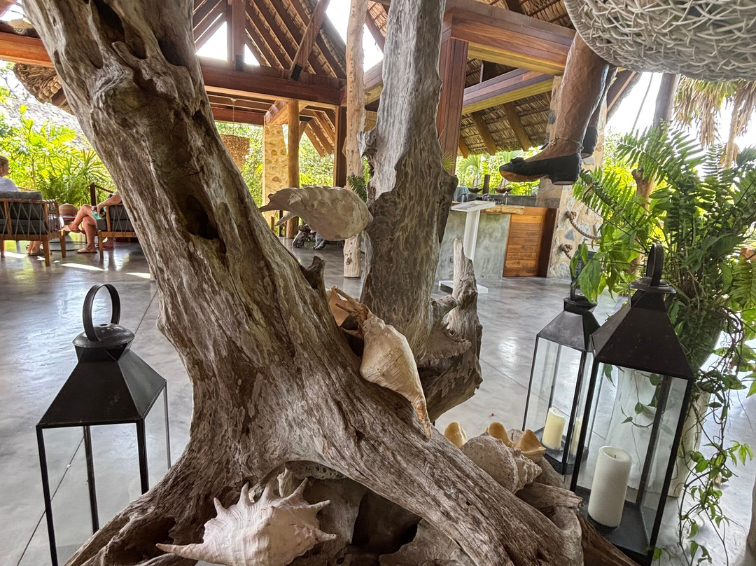 Les Lauriers Eco Hotel & Restaurant主图