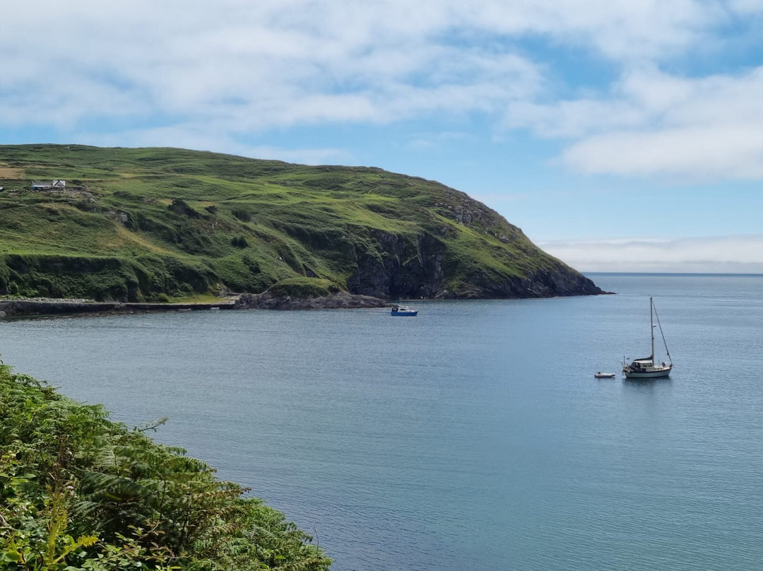 Cape Clear Island - Cape Clear Ferries-Baltimore必去景点
