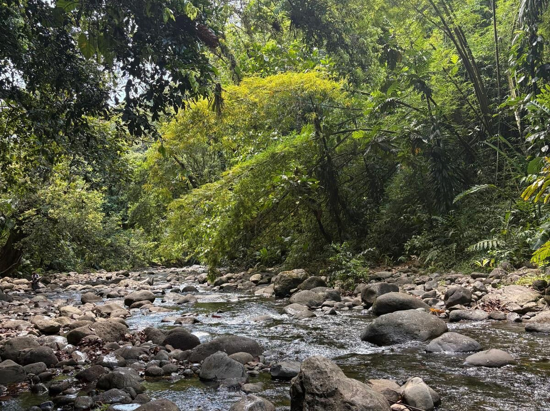 Canyon Moustique-Petit-Bourg必去景点