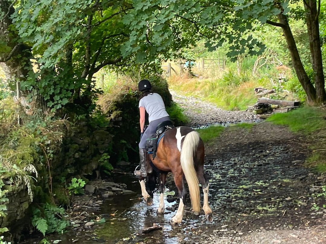 Freerein Riding Holidays-Clyro必去景点