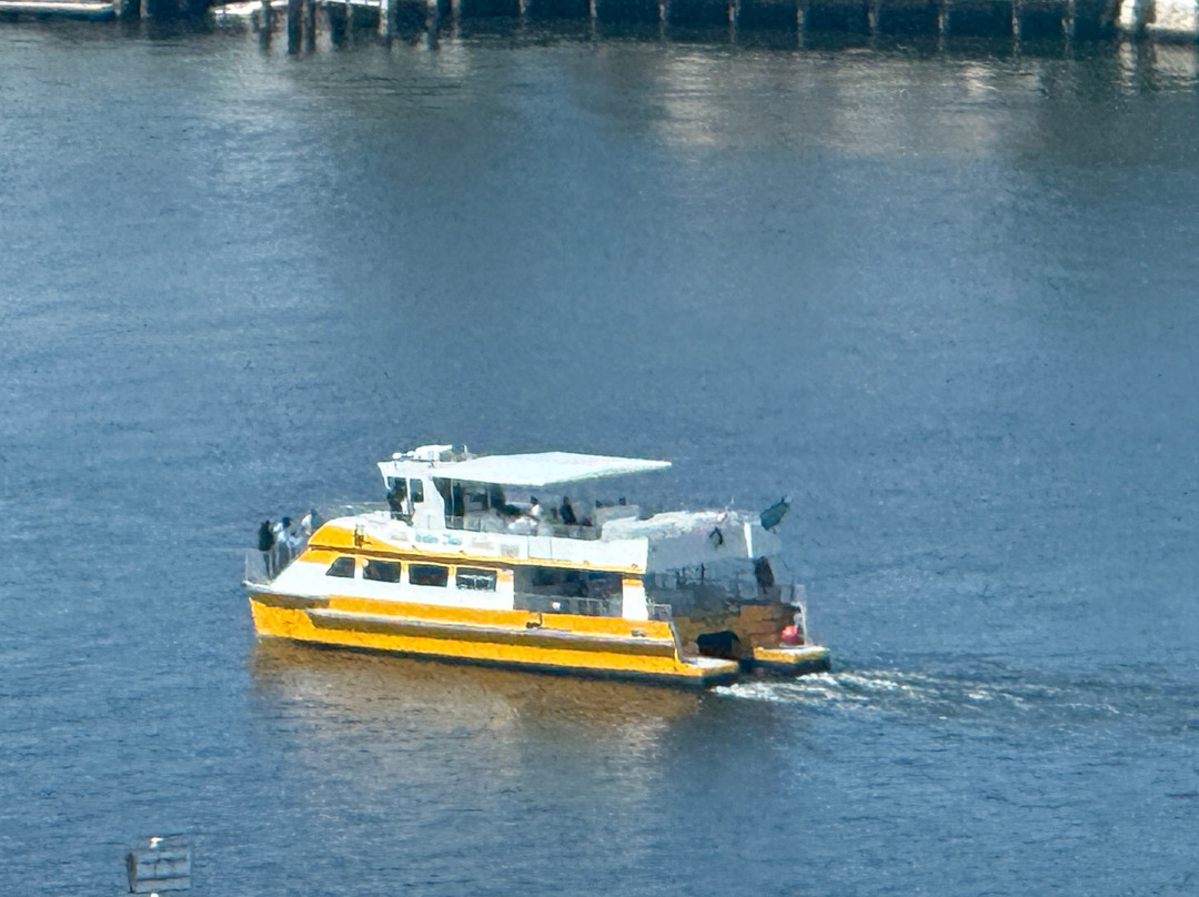 Water Taxi-劳德代尔堡必去景点