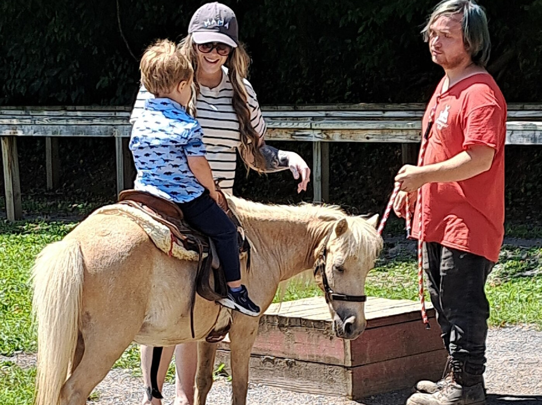 Smoky Mountain Deer Farm & Exotic Petting Zoo-塞维尔维尔必去景点