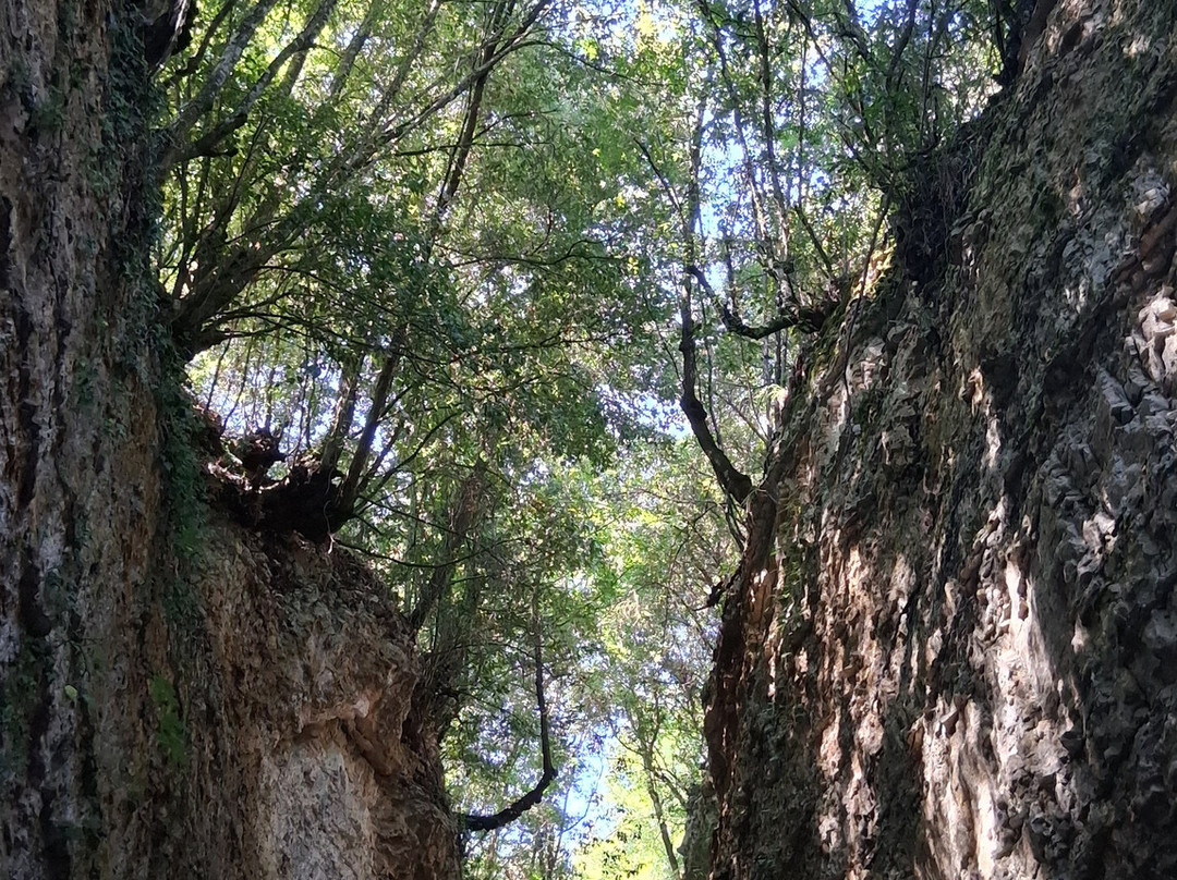 Gargano Escursioni-San Nicandro Garganico必去景点