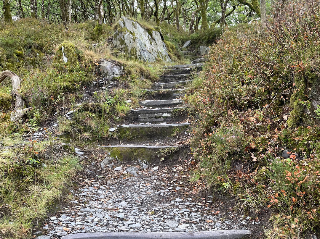 Dinorwic Slate Quarry-Llanberis必去景点