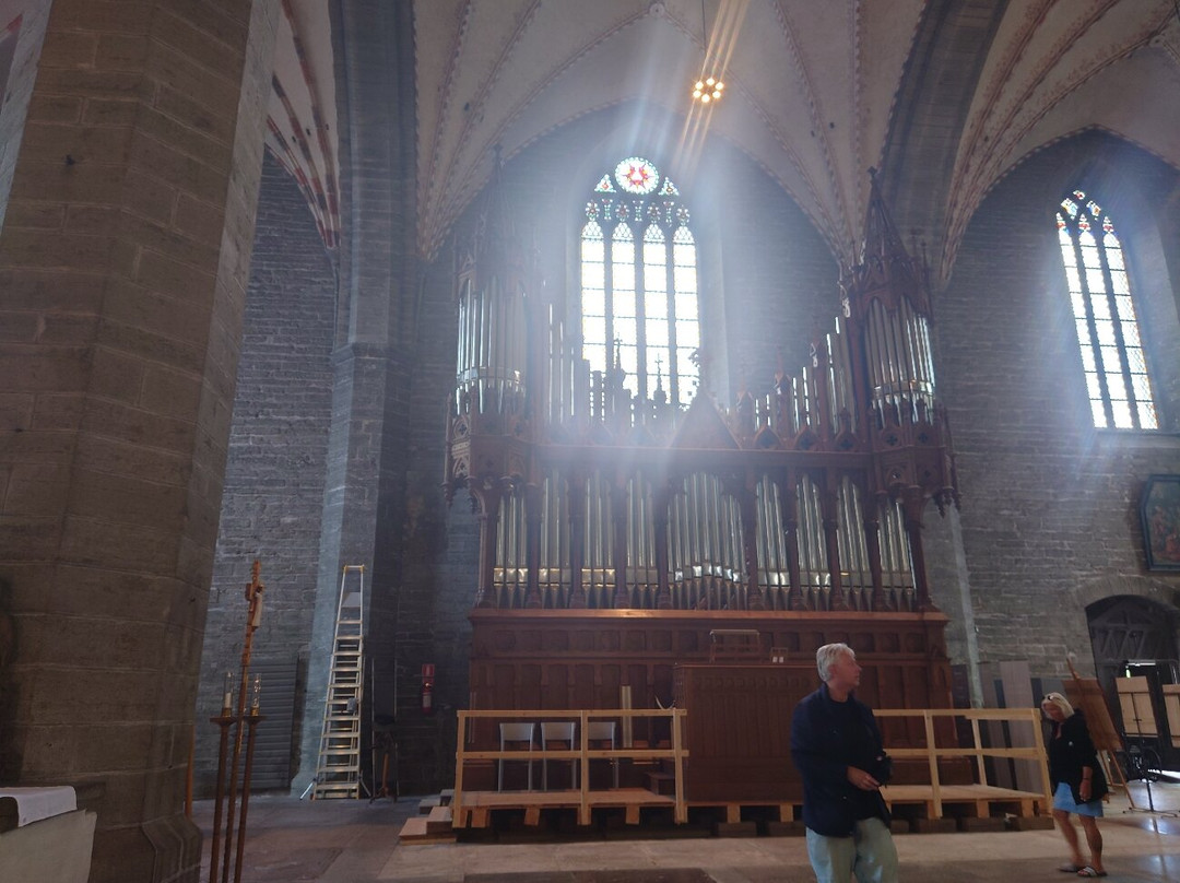 Vadstena Klosterkyrka-Vadstena必去景点
