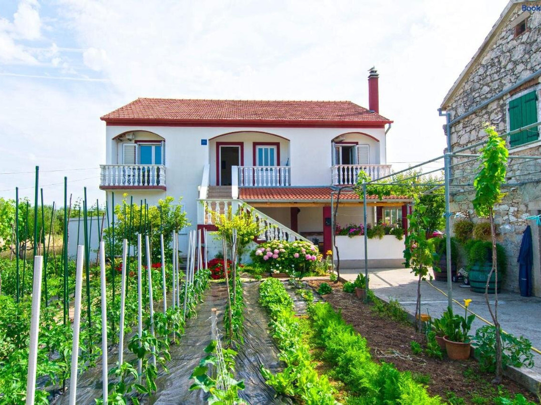 Apartments Miljenko D.