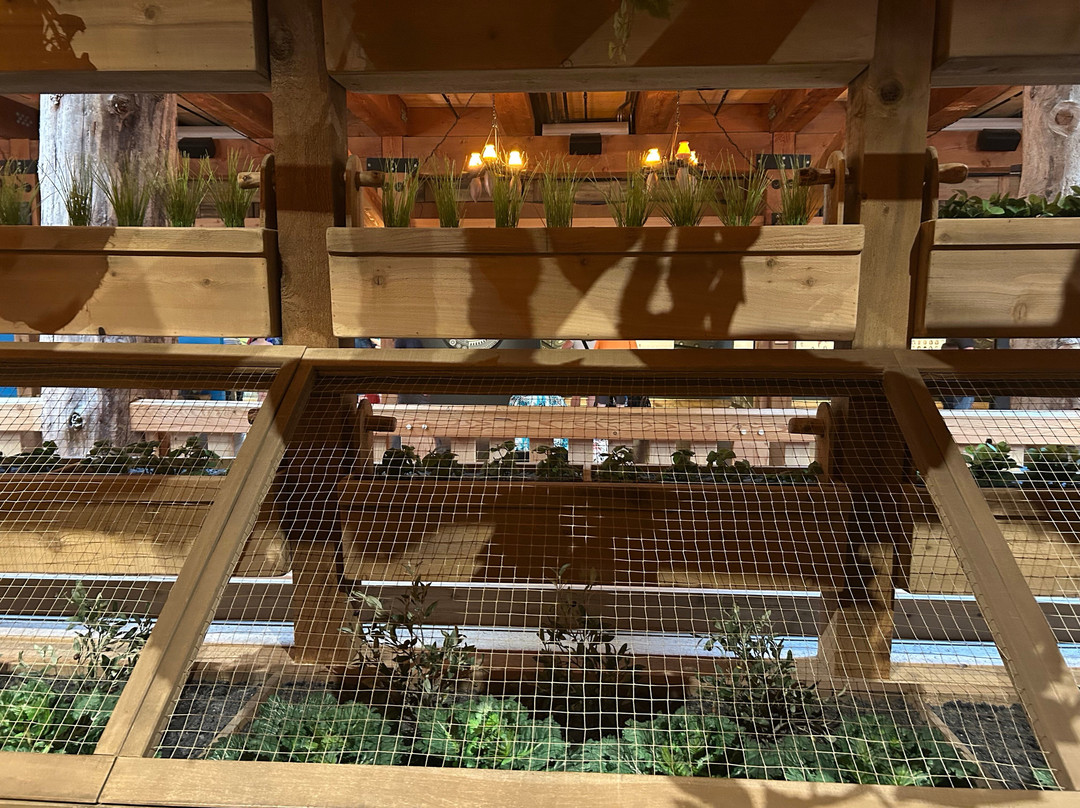 Ark Encounter-Williamstown必去景点