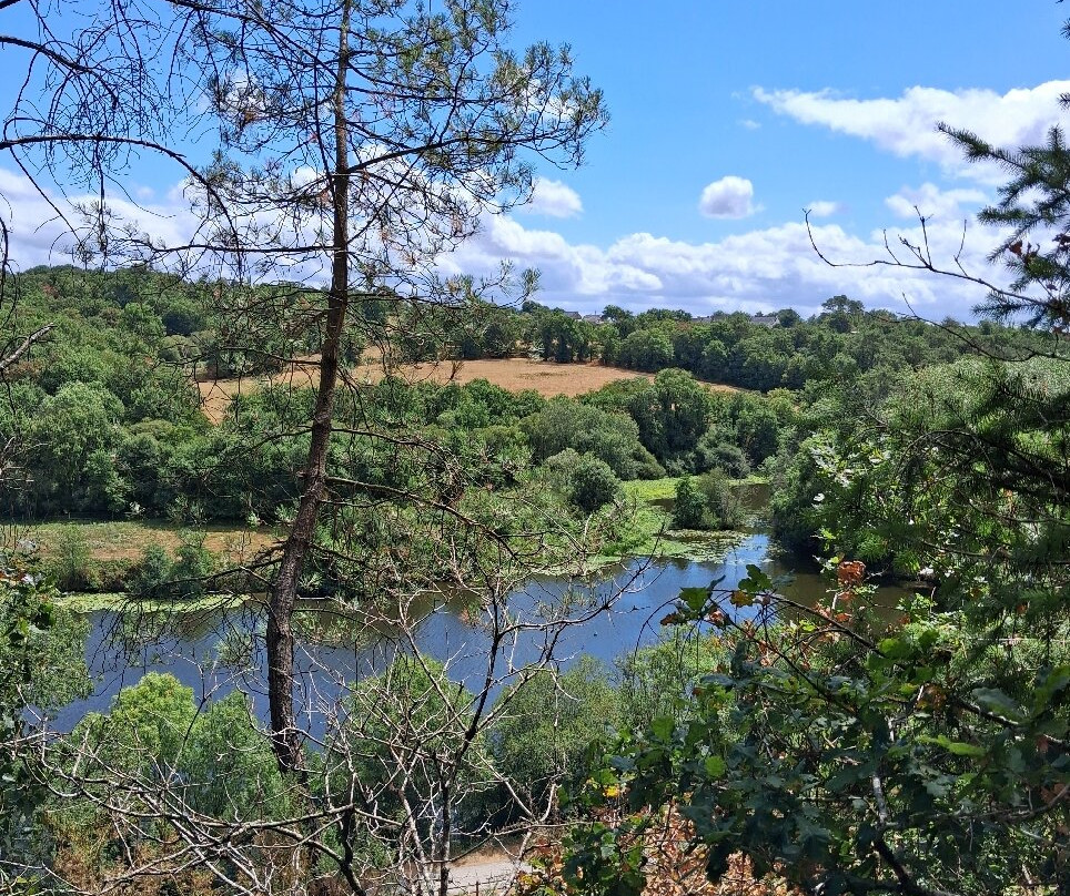 Parcours Aventure-Saint-Vincent-sur-Oust必去景点
