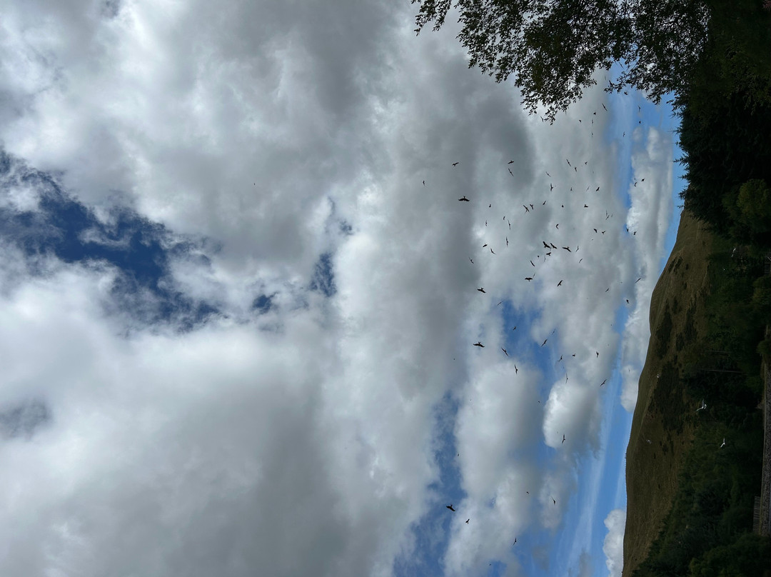 Bwlch Nant yr Arian Forest Visitor Centre-阿伯里斯特威斯必去景点