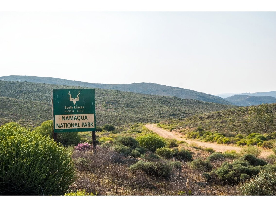 Namaqua National Park-北开普省必去景点