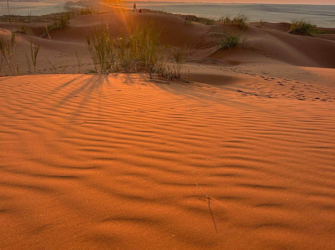 Dusty Foot Tours Namibia-温德和克必去景点