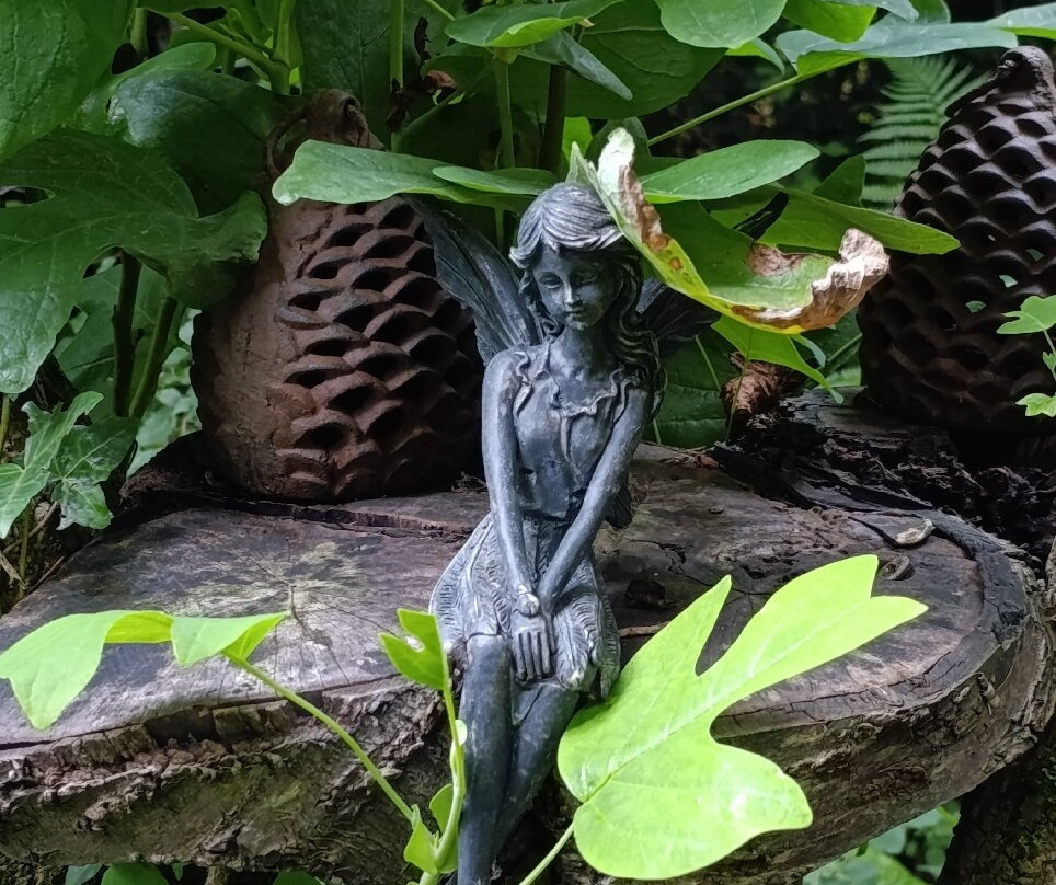 Terra Nova Garden-利默里克必去景点