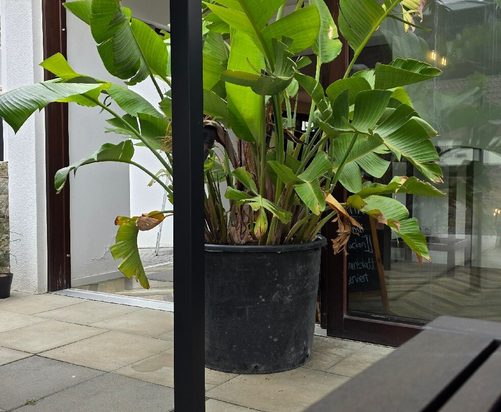 THAMARAI Restaurant