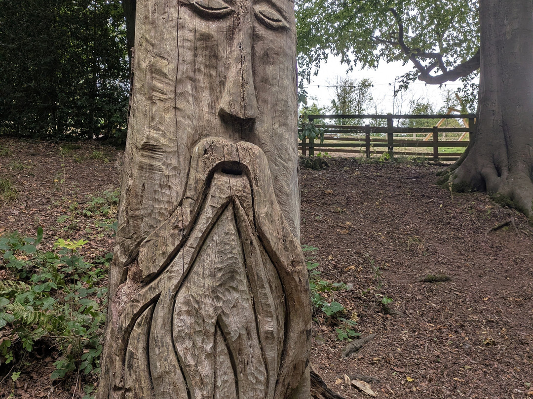 Mother Shipton's Cave-Knaresborough必去景点
