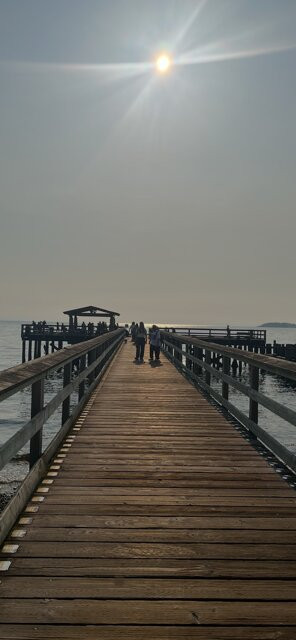 Davis Bay Beach-Sechelt必去景点
