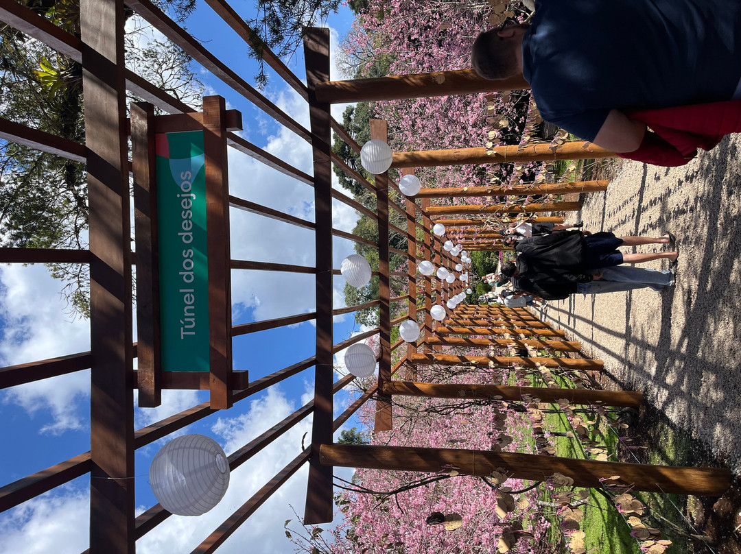 Parque das Cerejeira-坎普斯－杜若尔当必去景点