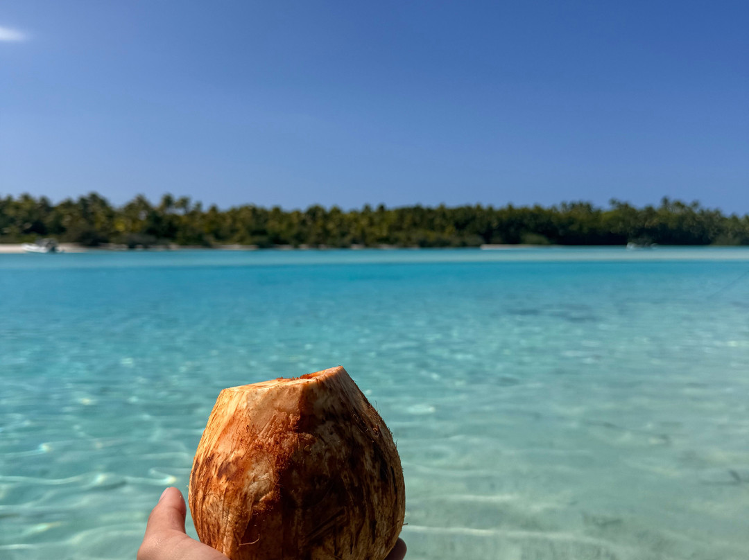Silent One Lagoon Charters-艾图塔基必去景点