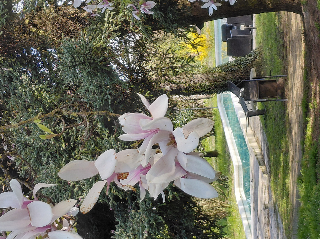 布莱斯布住宿加早餐旅馆主图