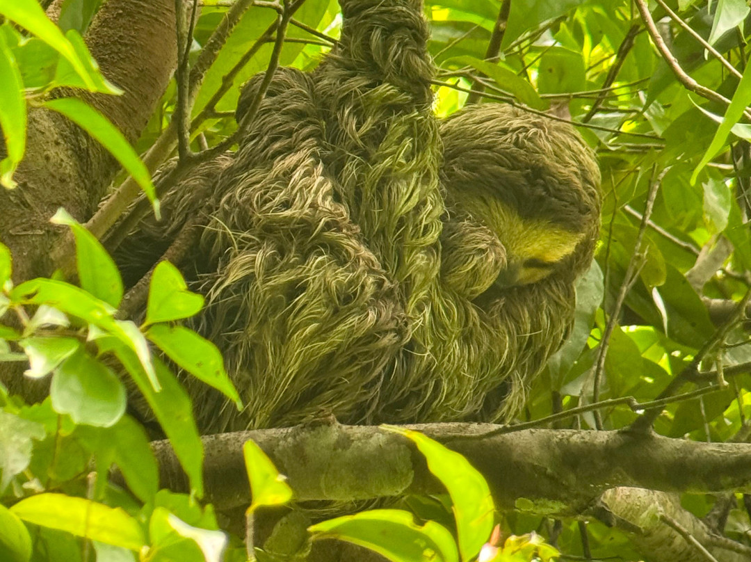 Manuel Antonio National Park-哥斯达黎加安东尼奥国家公园必去景点