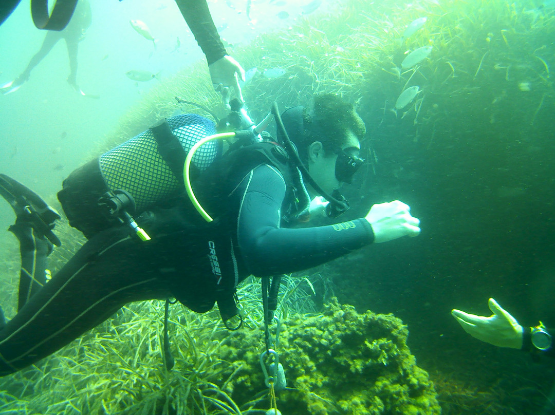 Centro de Buceo la Almadraba-阿吉拉斯必去景点