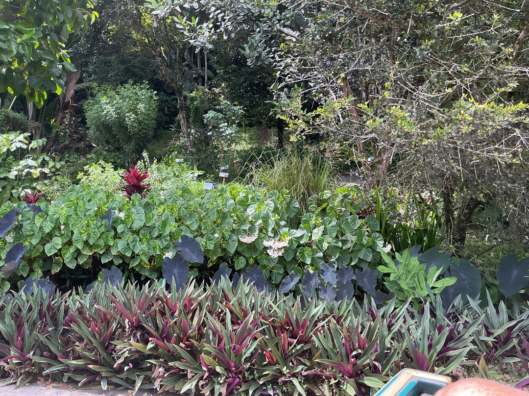 Jardin Botanique de Valombreuse-Petit-Bourg必去景点