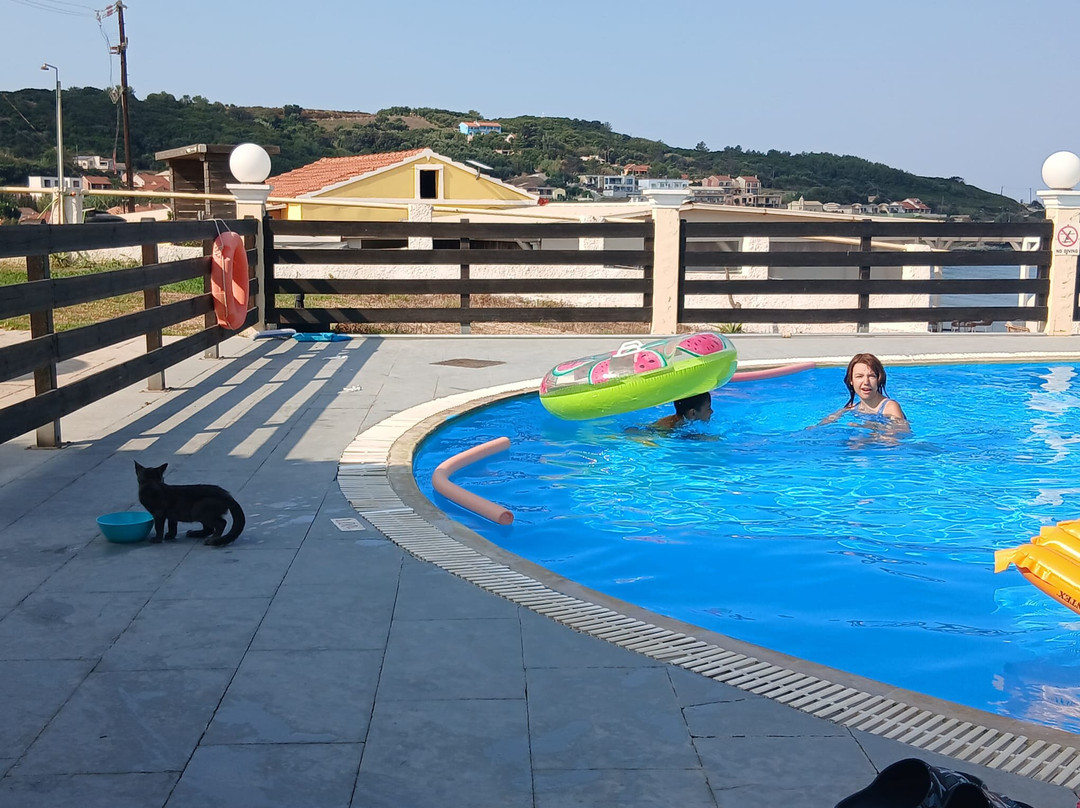 Sea And Sun View Hotel