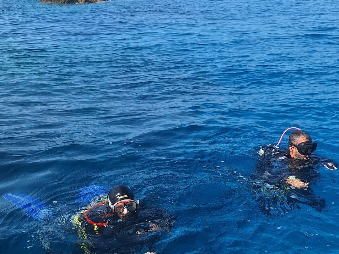 Mondo Blu Diving-Capo Vaticano必去景点