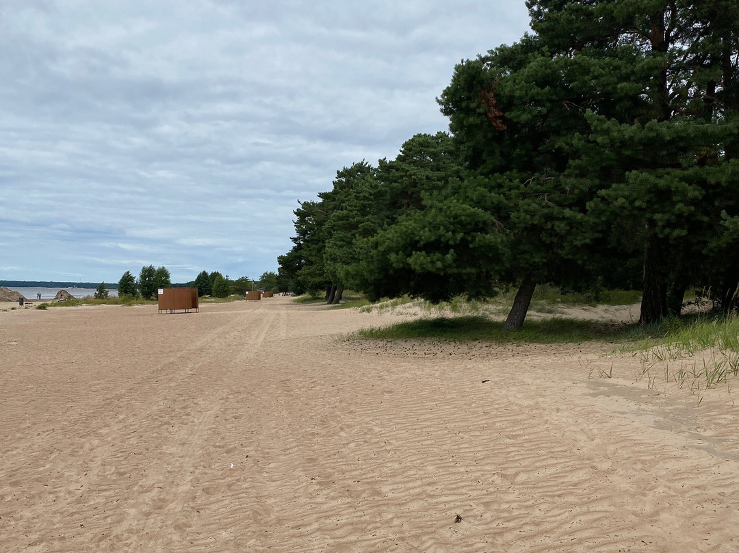 Dyuny Beach-Sestroretsk必去景点