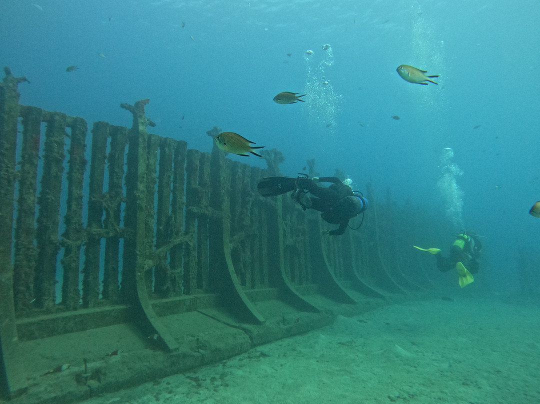 Pura Vida Diving-布兰卡滩必去景点