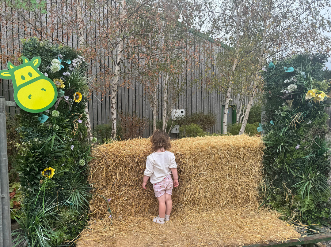 Chobham Adventure Farm-Chobham必去景点