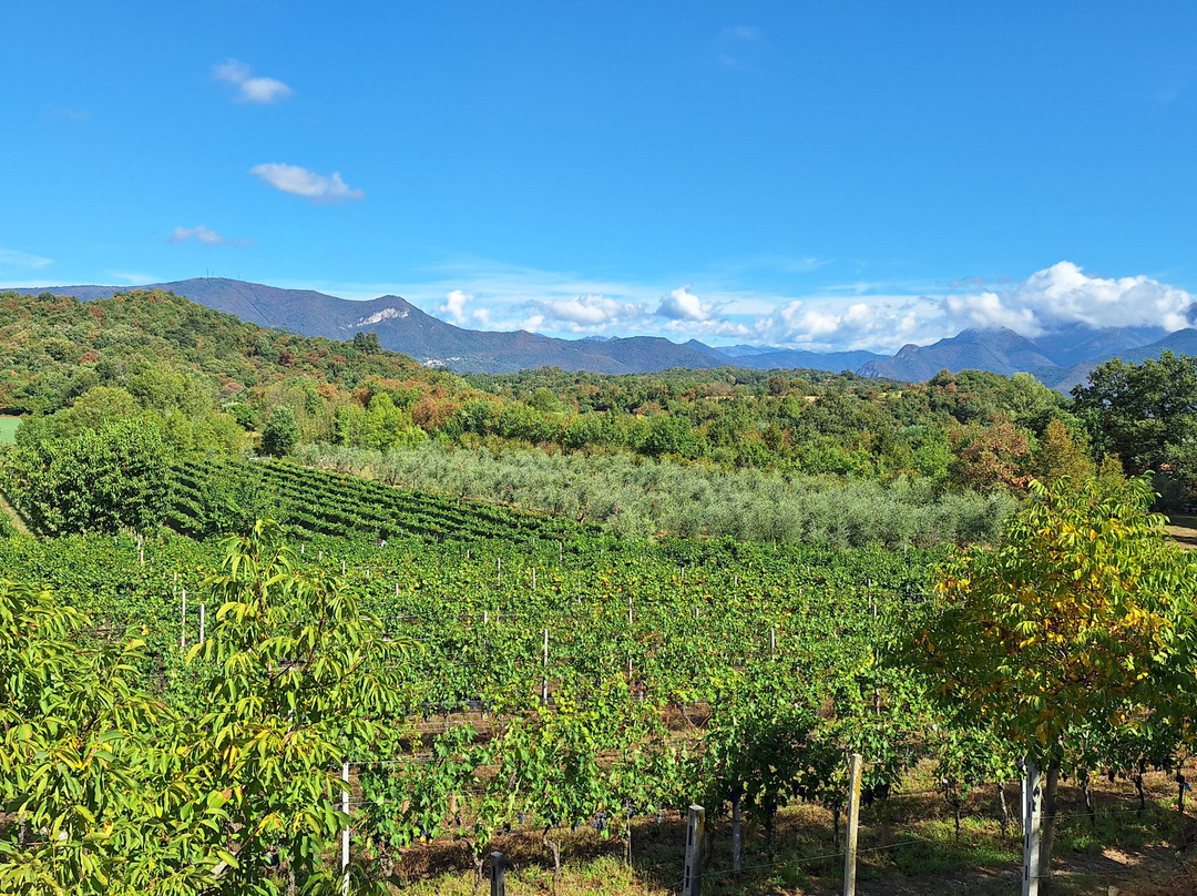 Podere Dei Folli-Polpenazze del Garda必去景点