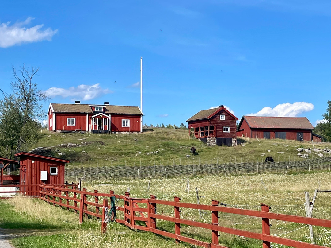 Tyresta National Park-Tyreso必去景点