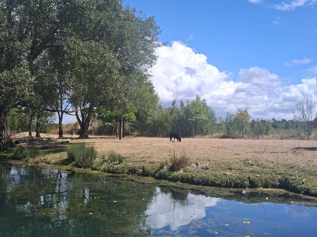 La Riviere de Chauvignac-Chenac-Saint-Seurin-d'Uzet必去景点