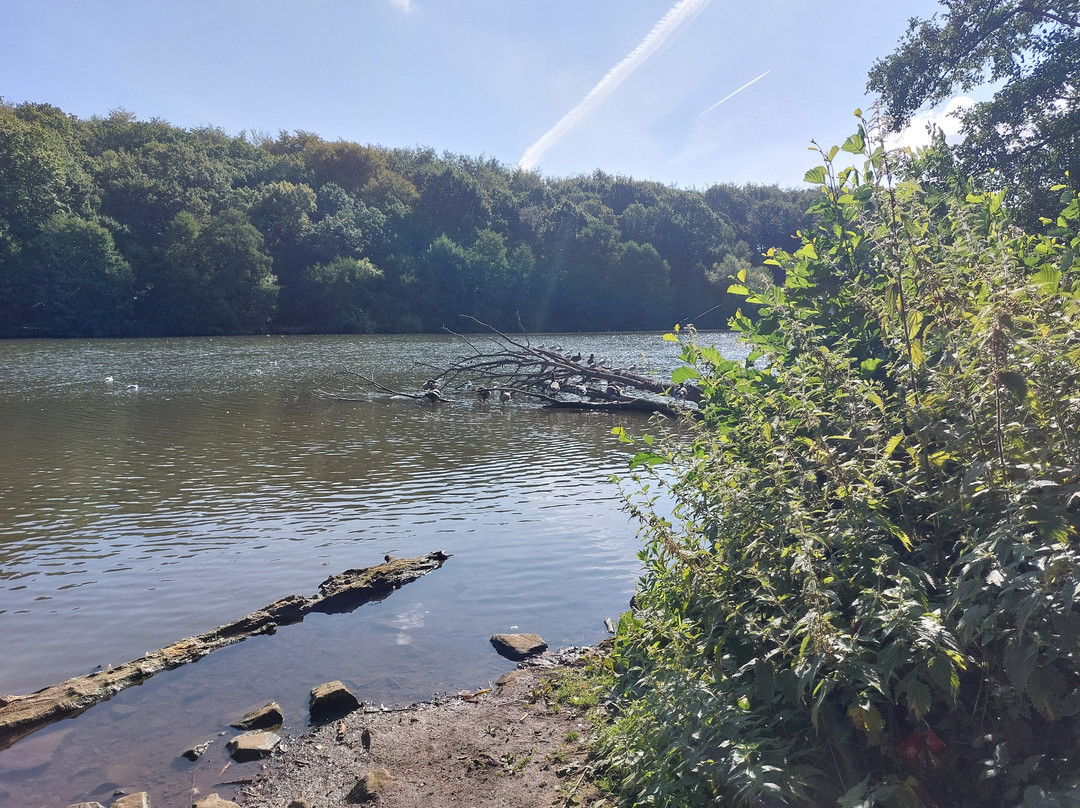 Lakeside