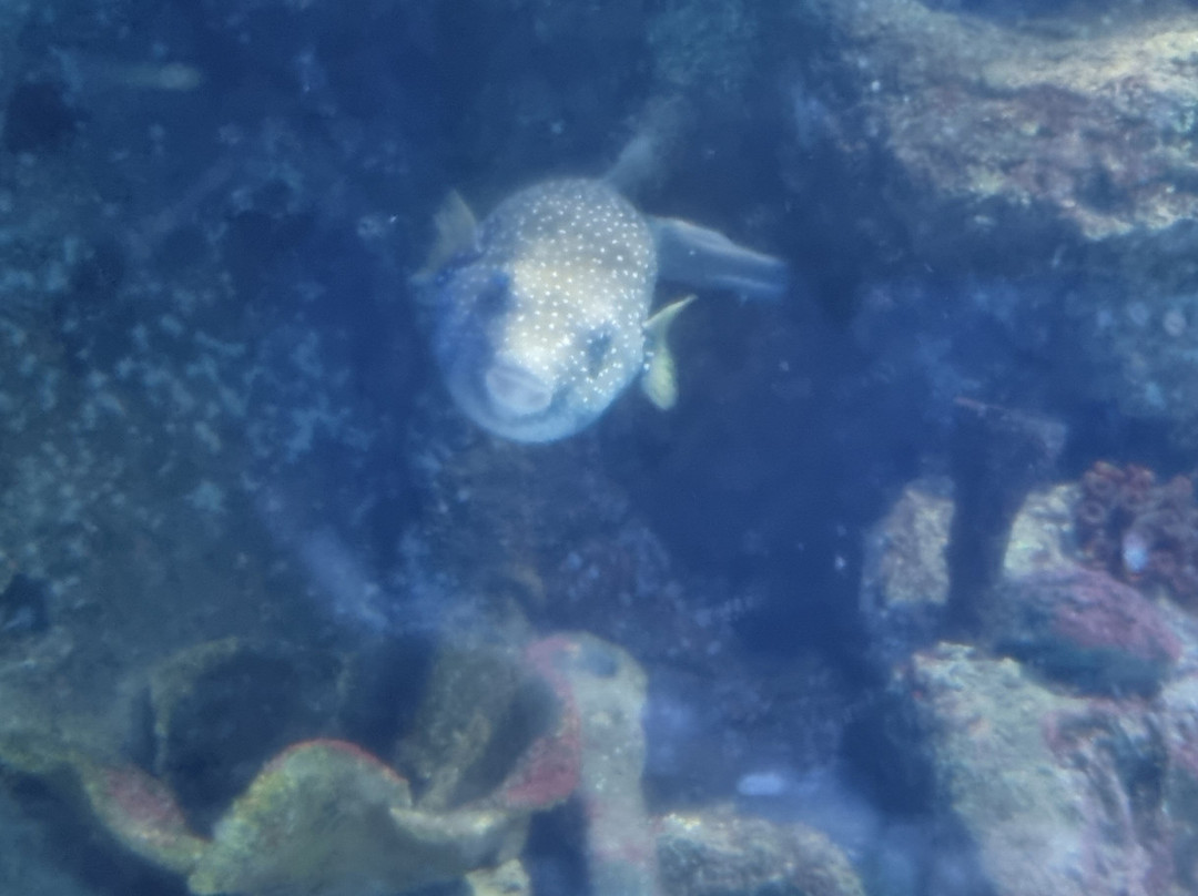 Sea Life Scarborough-斯卡伯勒必去景点