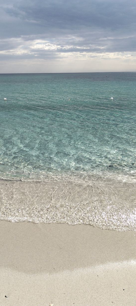Hotel Cala Fiorita-旅行者