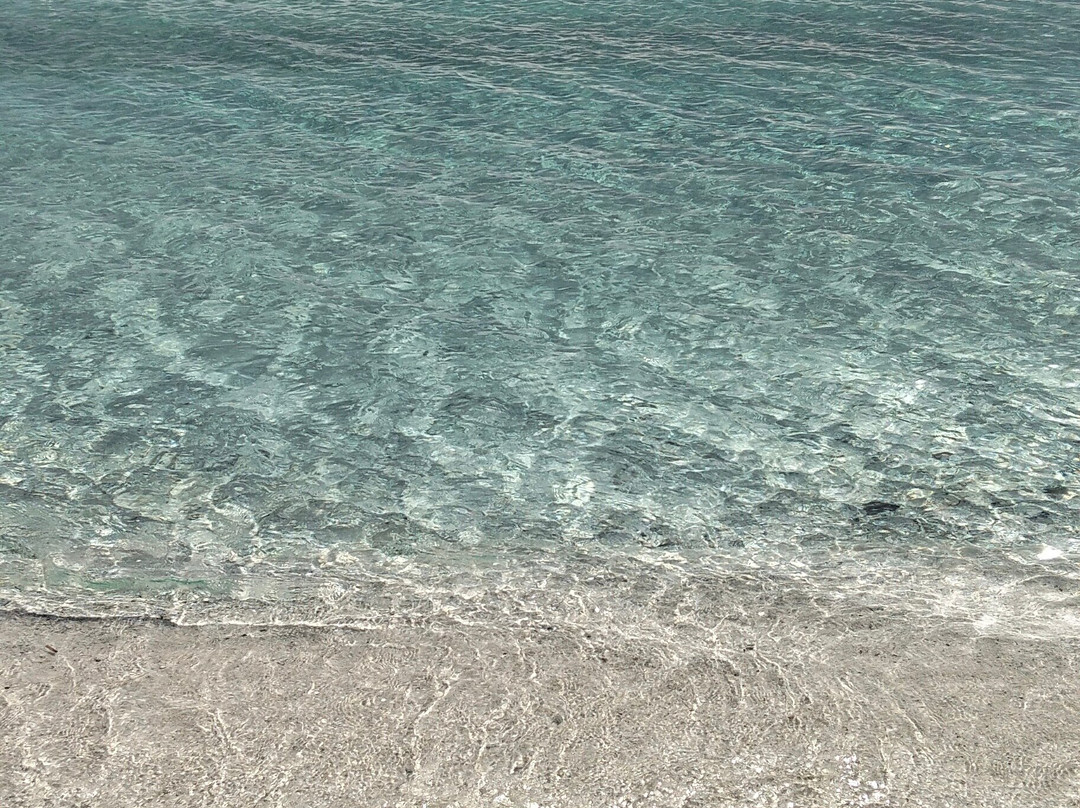 Hotel Cala Fiorita主图