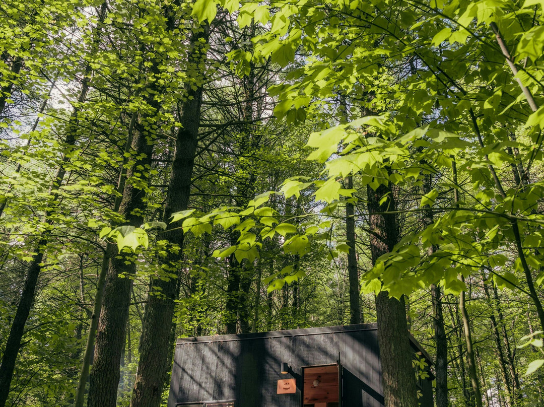 Postcard Cabins Kettle River, Outdoor Collection by Marriott Bonvoy