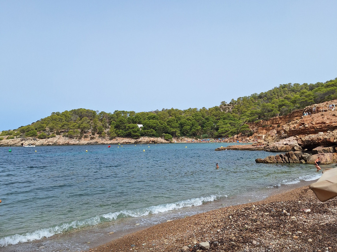 Playa Cala Salada-圣安东尼德波特曼尼必去景点
