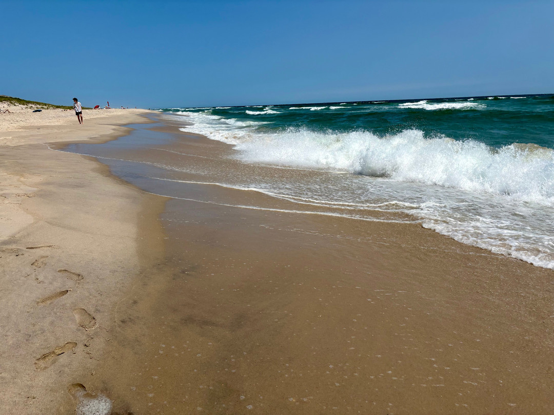 Robert Moses State Park-Fire Island必去景点