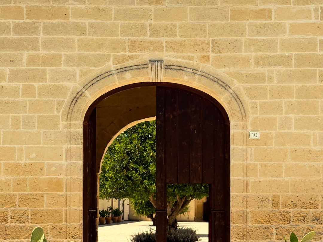 MASSERIA LILEI农场主图