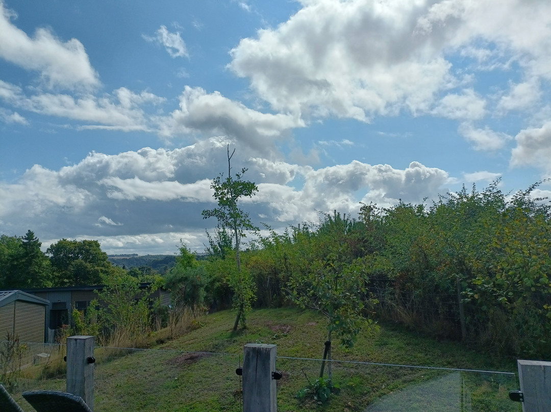 The Astbury Golf & Lodge Resort-Chelmarsh必去景点