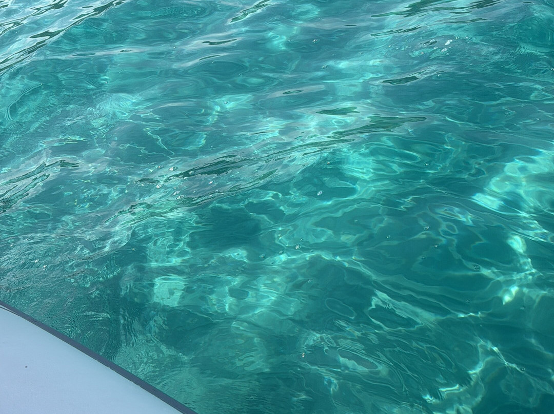 David's Boat
