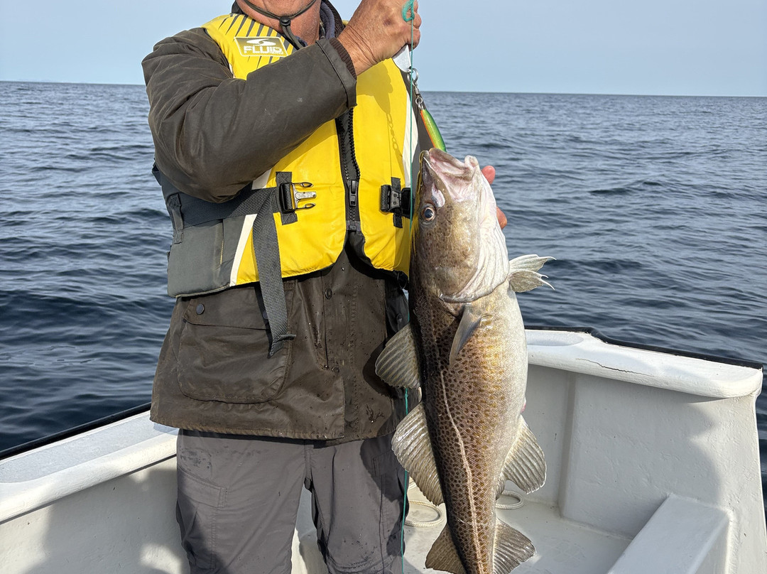Seas the Day Boat Tours-Bonavista必去景点