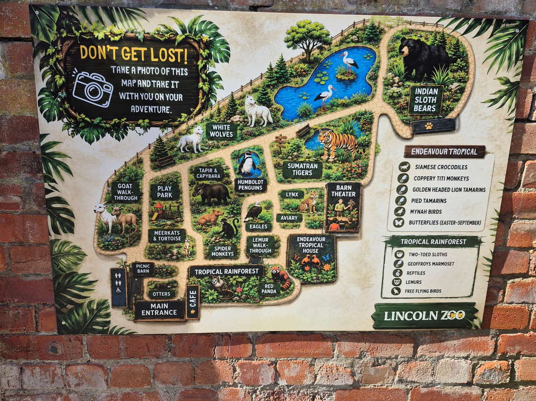 Lincoln Zoo-Newball必去景点