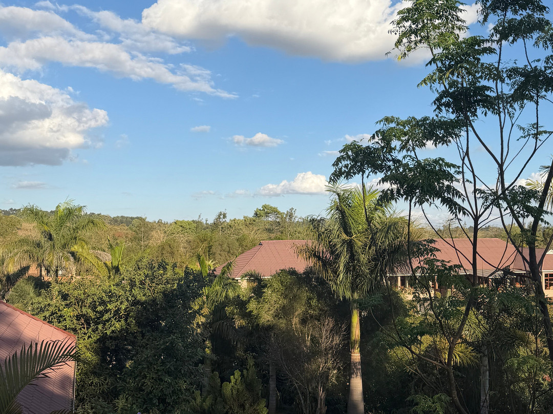Ngorongoro Marera Mountain View Lodge主图